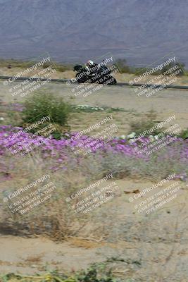 media/Feb-04-2023-SoCal Trackdays (Sat) [[8a776bf2c3]]/Turn 15 Inside Blooming (1050am)/